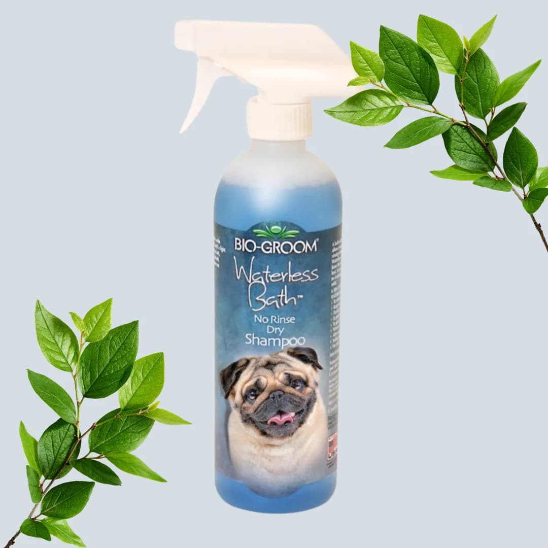 Champô Bio-Groom de banho seco para cão, 473 ml