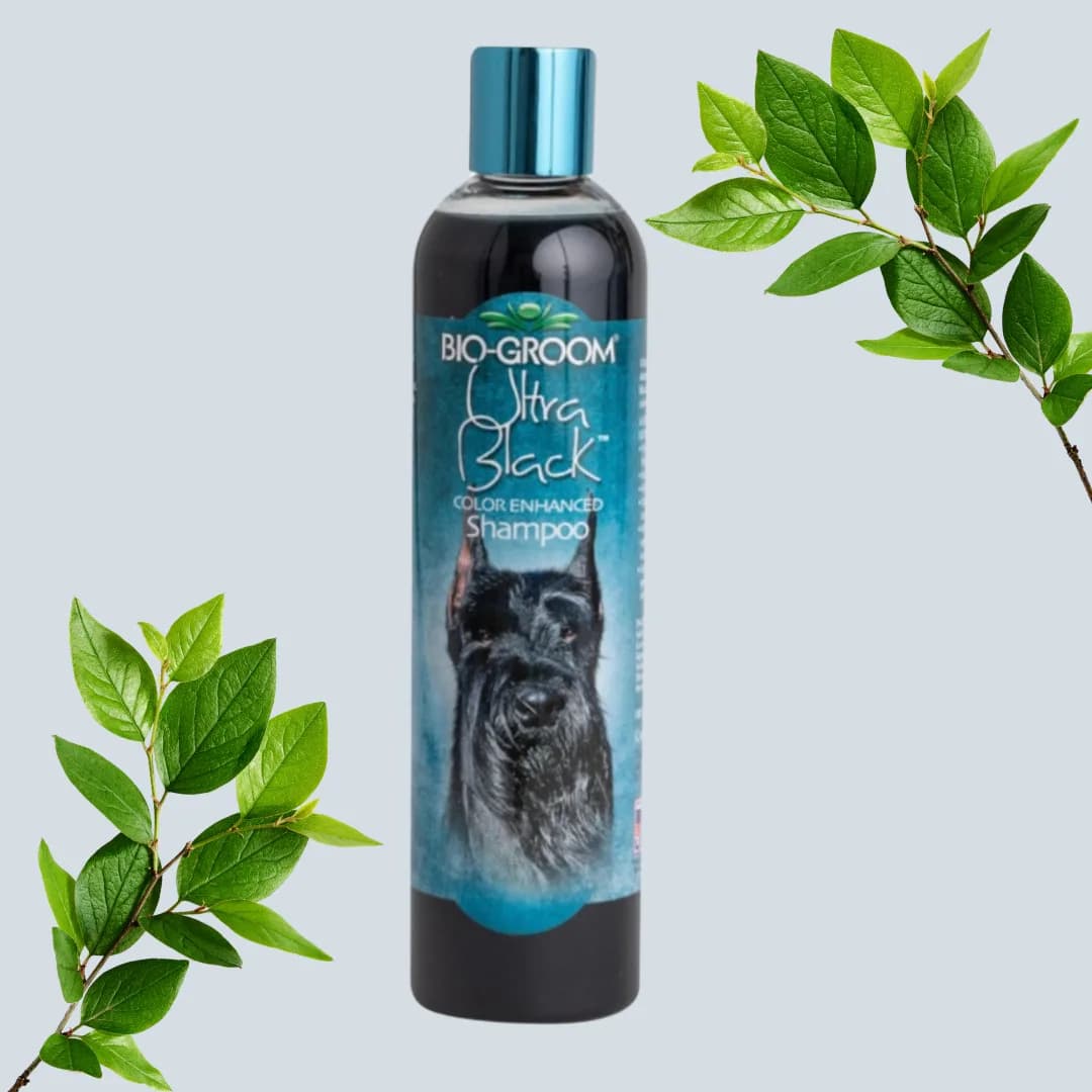 Champô Bio-Groom Ultra Preto para cão, 355 ml