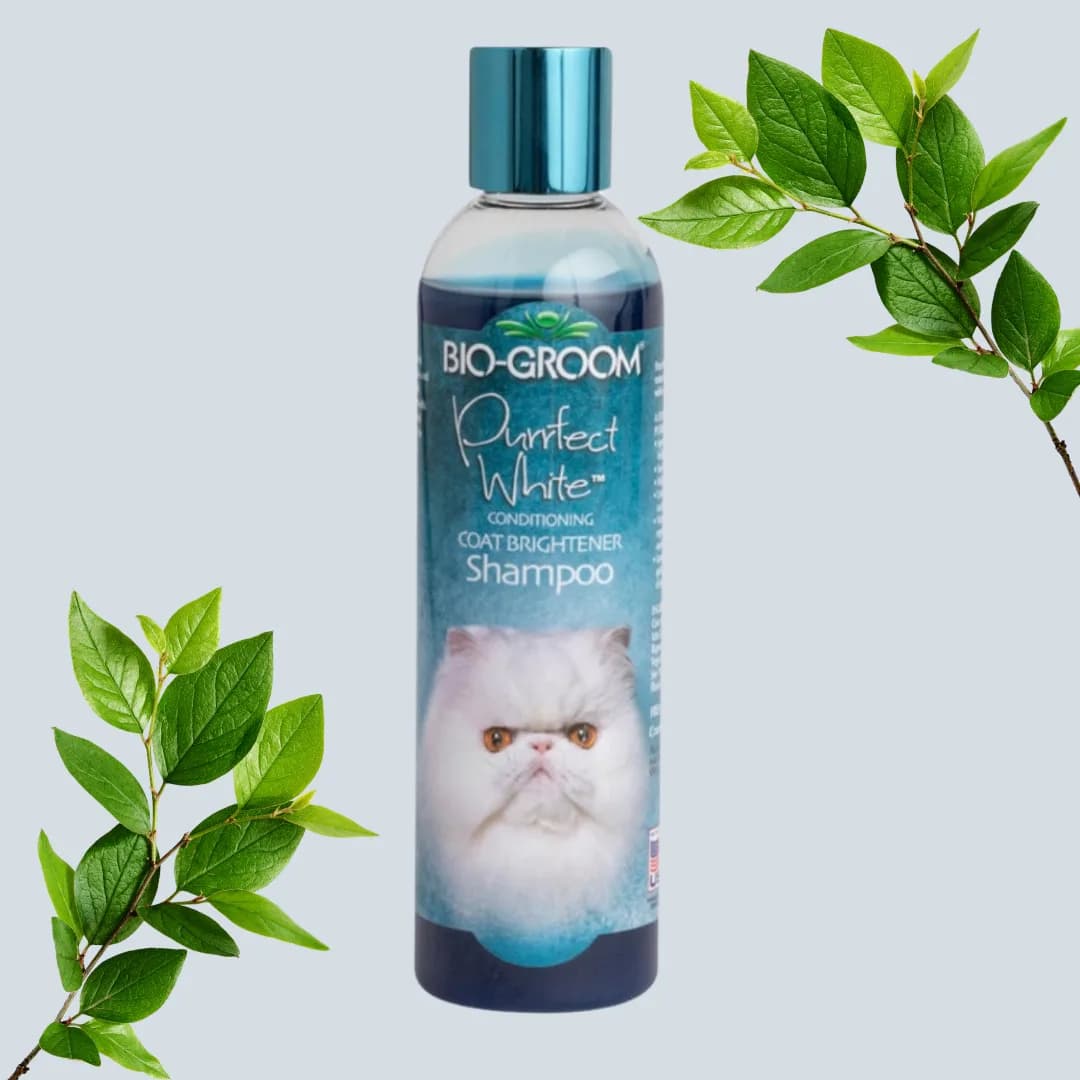 Champô condicionador Bio-Groom Purrfect Branco para gato, 236 ml