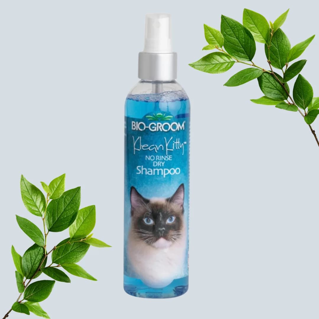 Champô Bio-Groom de banho seco para gato, 236 ml