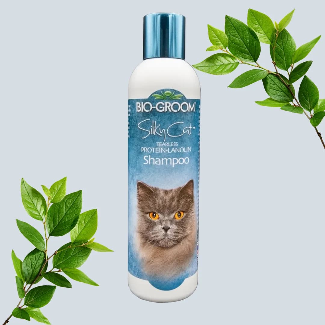 Champô Bio-Groom sedoso para gato, 236 ml