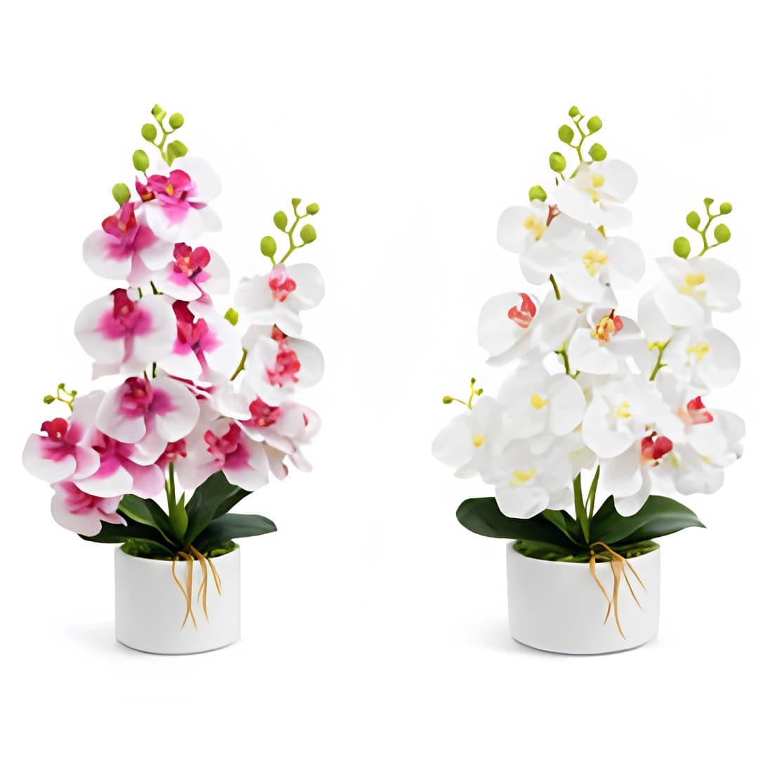 Orquídea, 53 cm