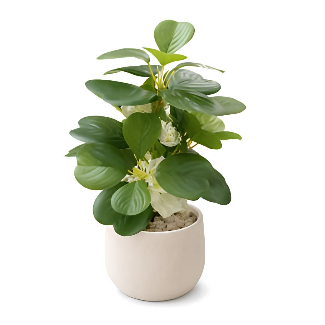 Orquídea, 28 cm