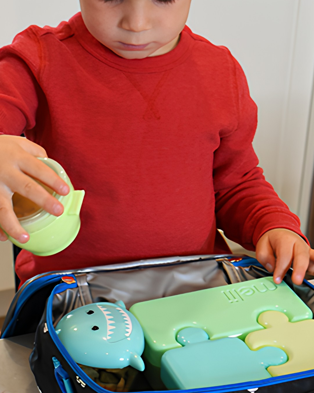 Snack Container – Tubarão MLII