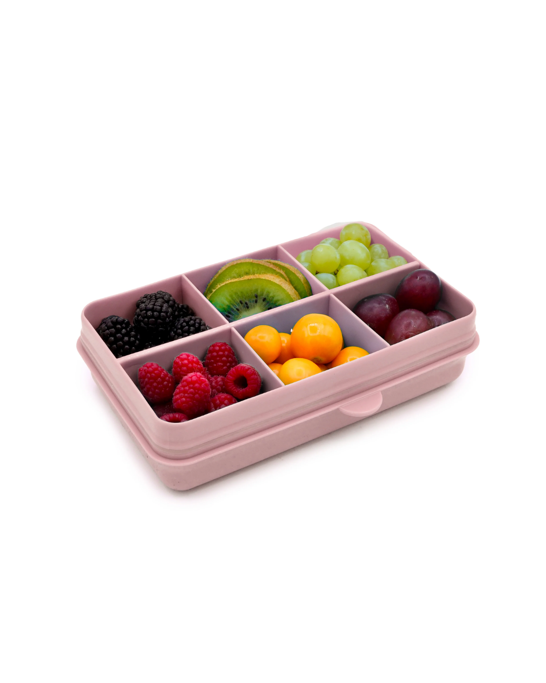 Snackle Box – Tam. Mini MLII