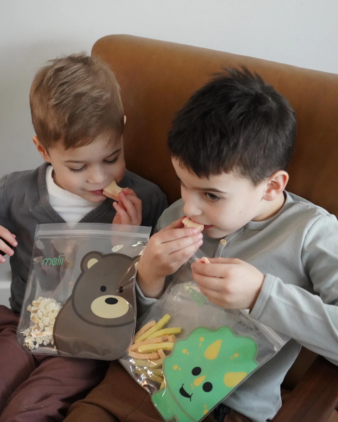 Sacos Reutiliz. EVA – 4un. MLII(2 Dino + 2 leão)