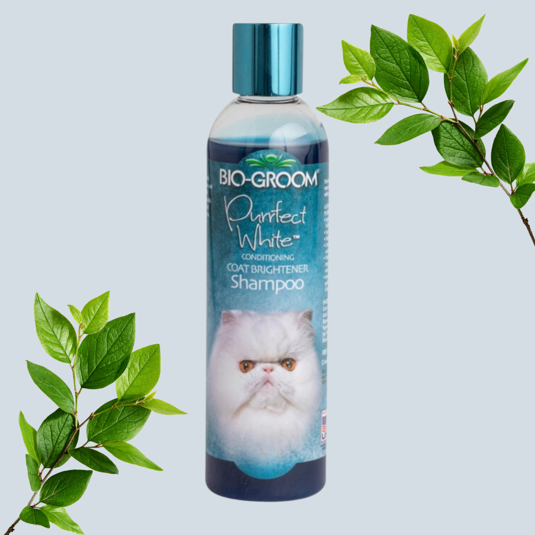 Condic Cat Shampoo. Purrfect Bran. 236ml B-G PP