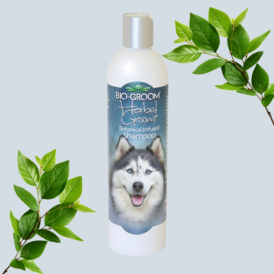 Champô Cão Gentil 355ml Bio-Groom PP