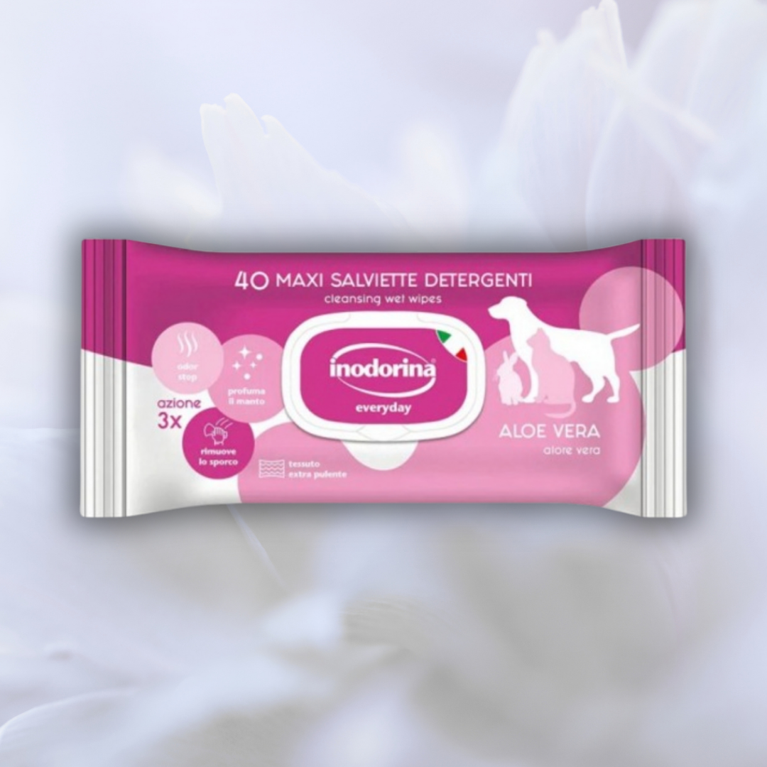 Paw Wipes, 40-pack. Inodorina Aloe Vera PP
