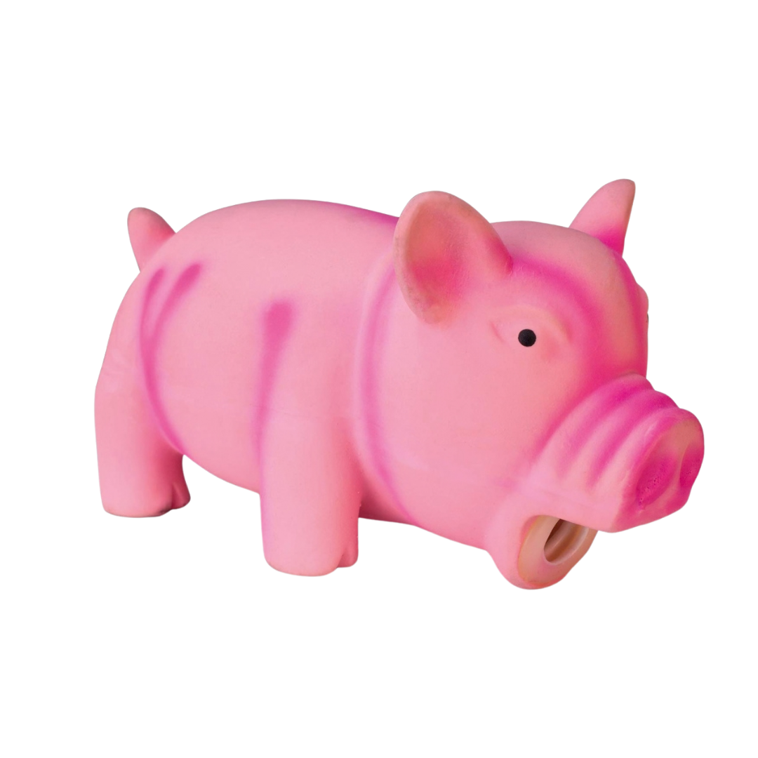 Brinq. Porto Latex Dog 15cm Pawise PP
