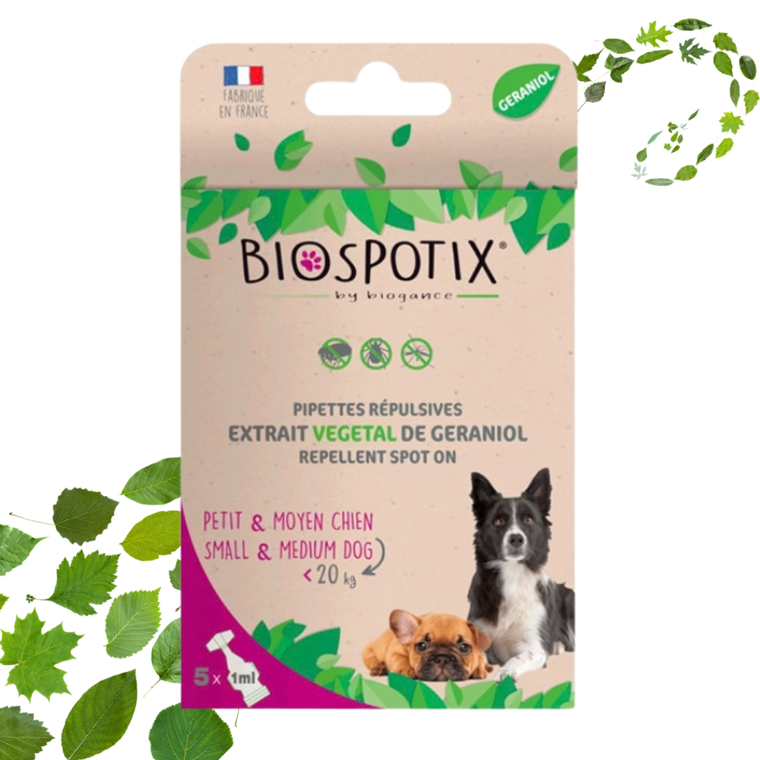 FLEA & TICK TREATMENTS