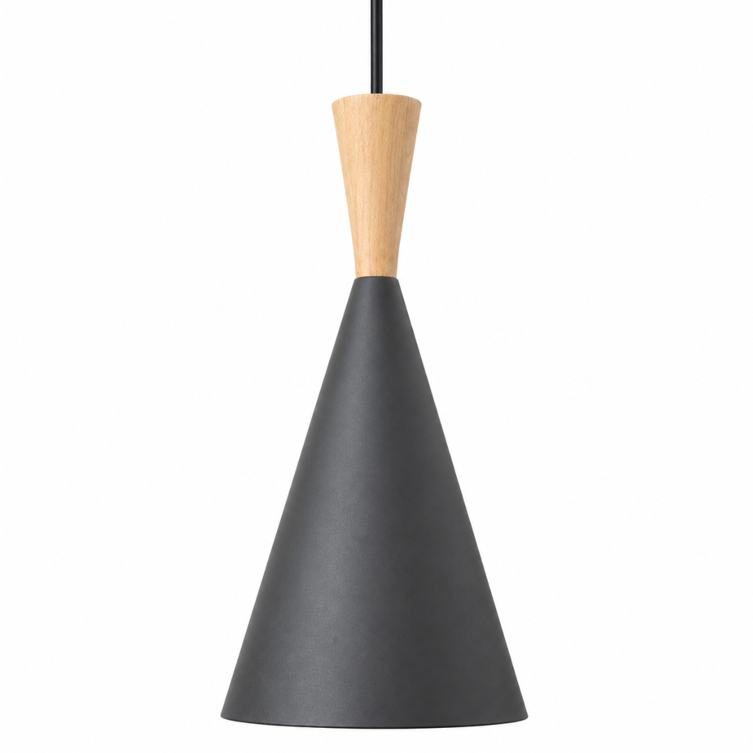 Black Ceiling Light PN (LT-MP1005-1)